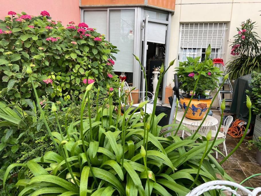 Apartament Apparemment Blagnac Proche Tram Zewnętrze zdjęcie