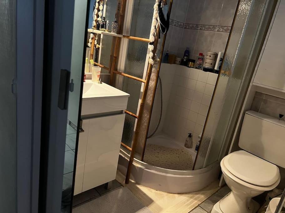 Apartament Apparemment Blagnac Proche Tram Zewnętrze zdjęcie